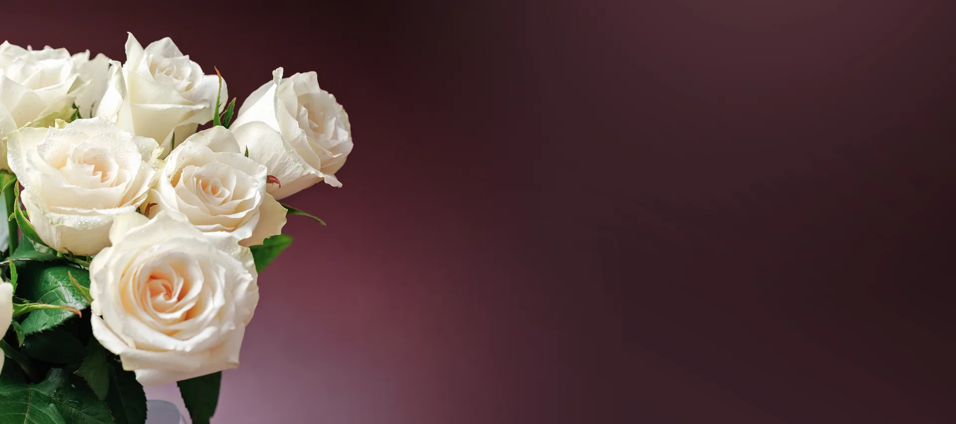 Tím pohrebníctva Padarasová